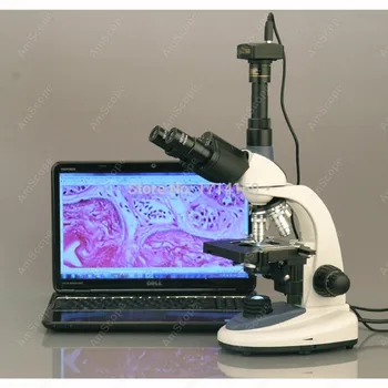 Лабораторный микроскоп-AmScope Поставляет 40X-1000X3 Вт Светодиодный Трехкулярный Составной микроскоп