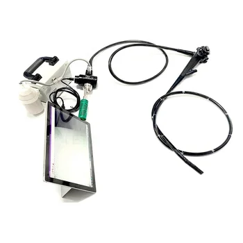 Портативный USB Гибкий видеогастроскоп для эндоскопии желудка с CMOS разрешением 1 00 000 пикселей и колоноскопом Colonoscope colonoscope can OEM